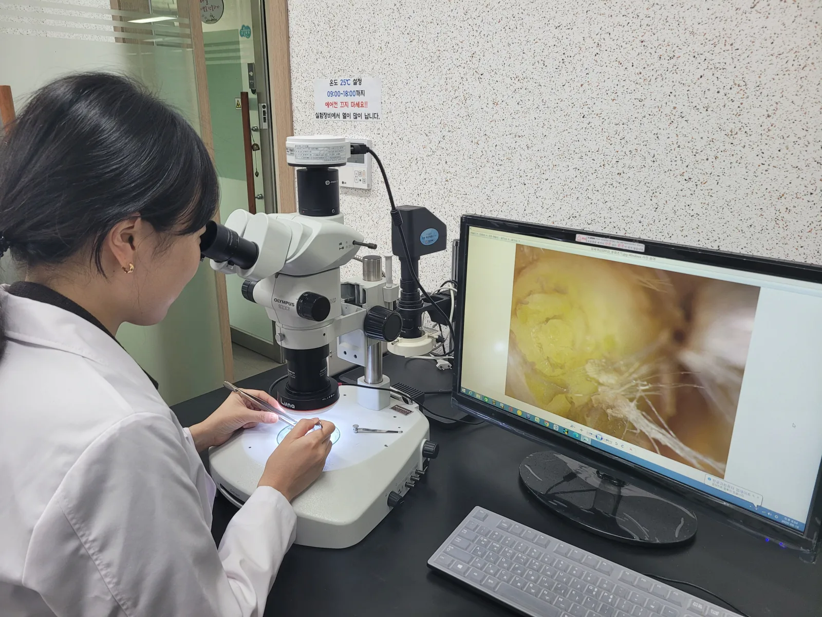 기사 본문 사진