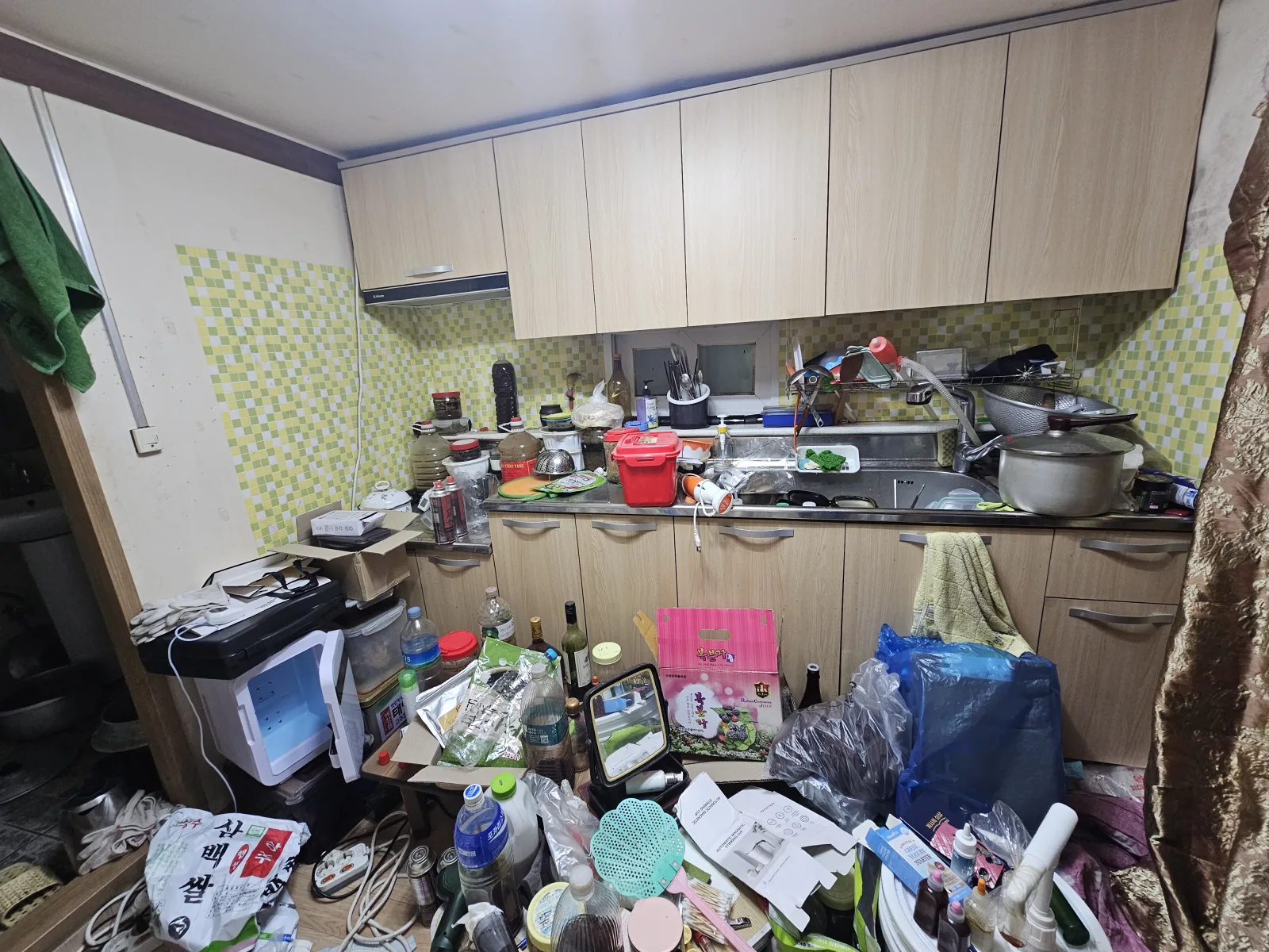 기사 본문 사진