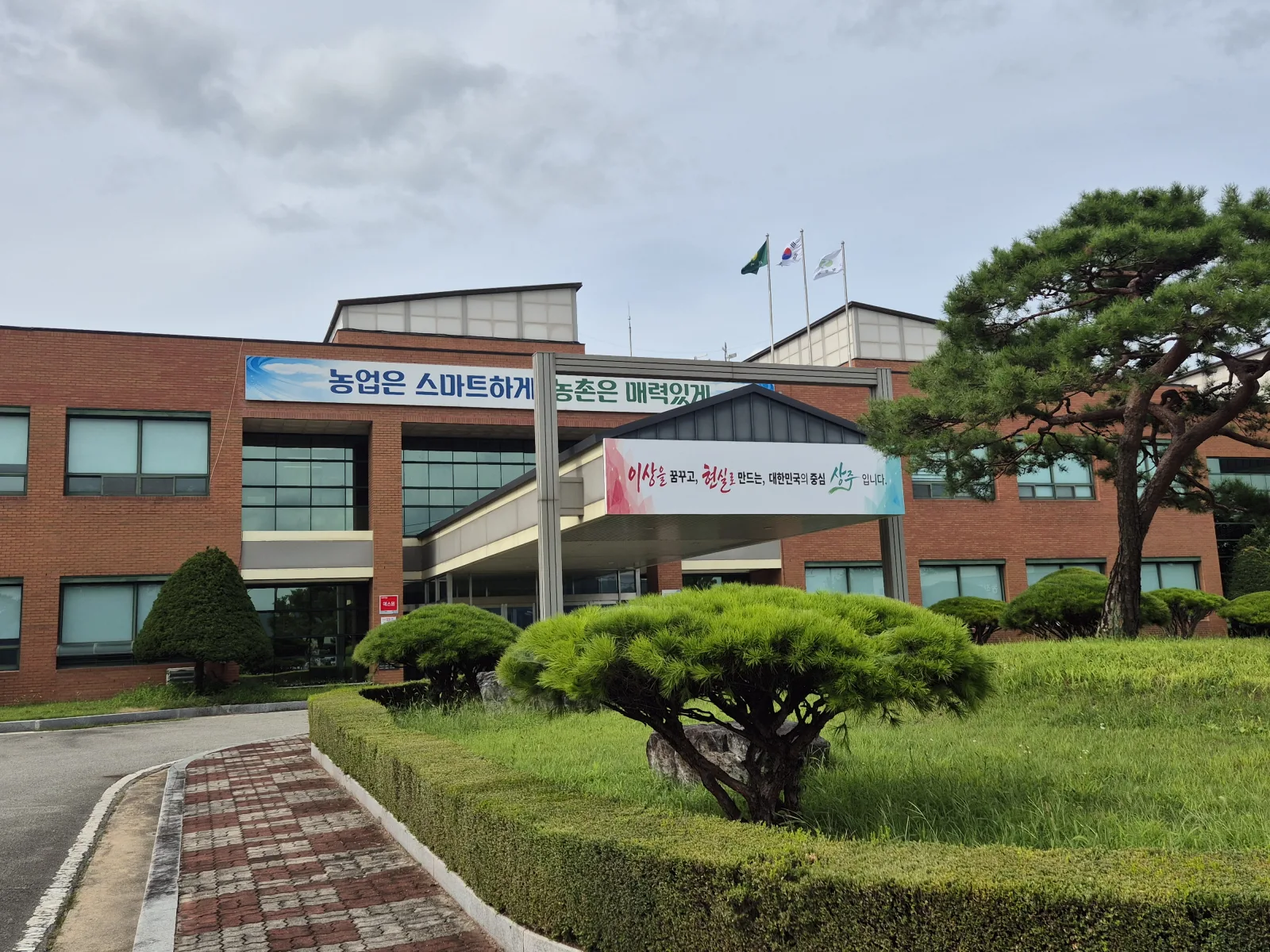 기사 본문 사진