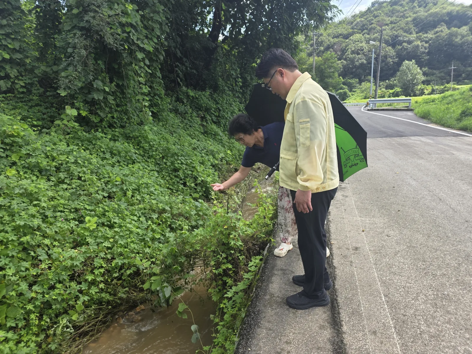 기사 본문 사진