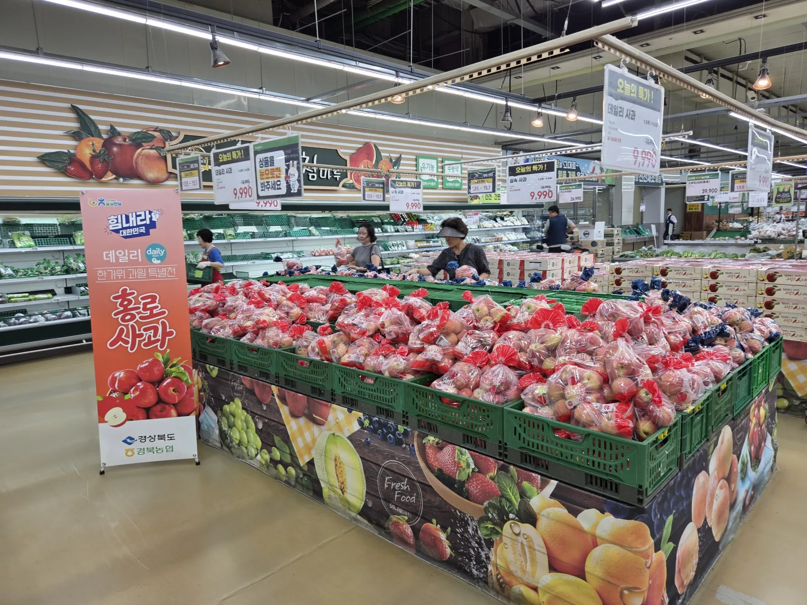 기사 본문 사진