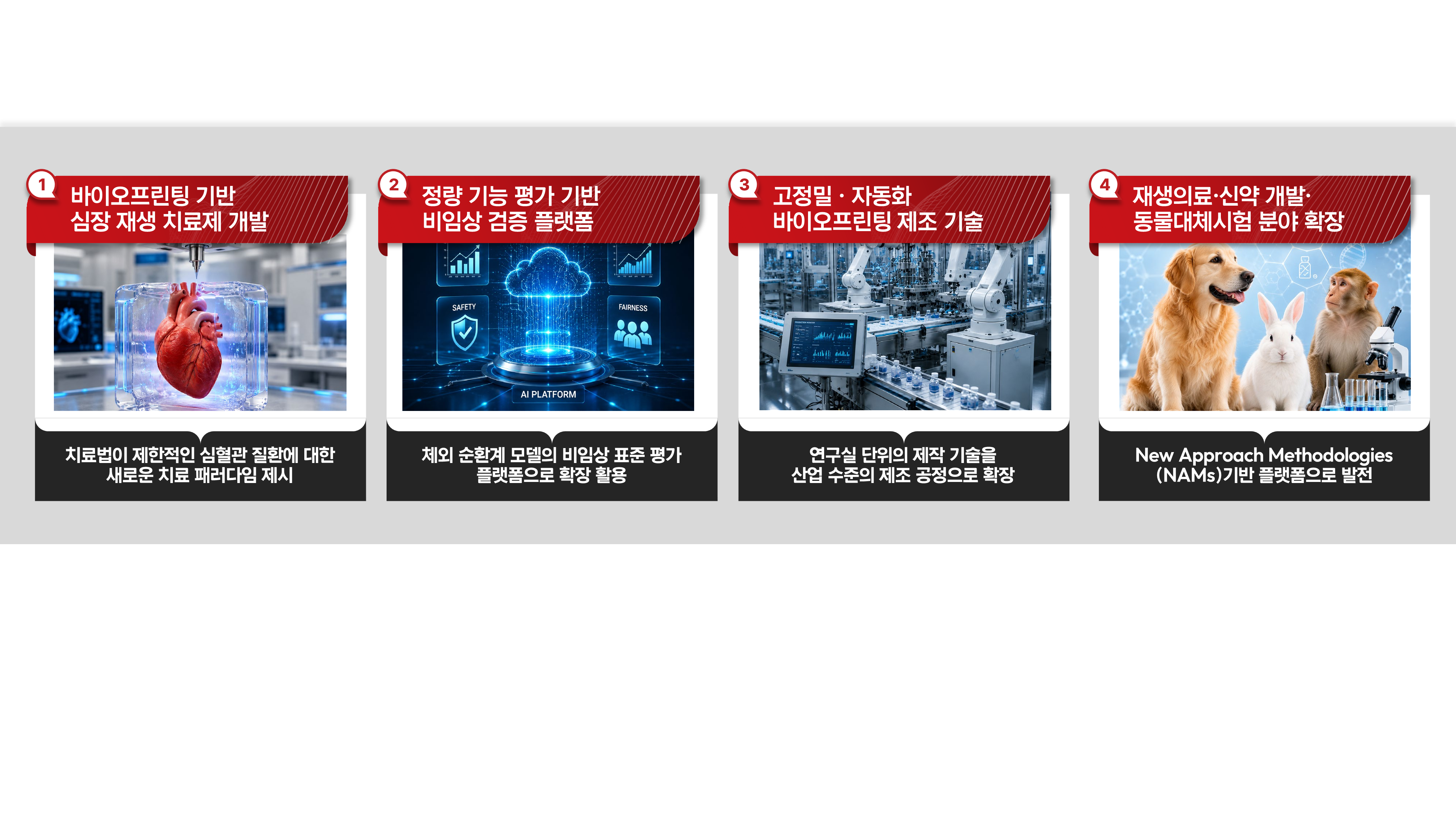 기사 본문 사진