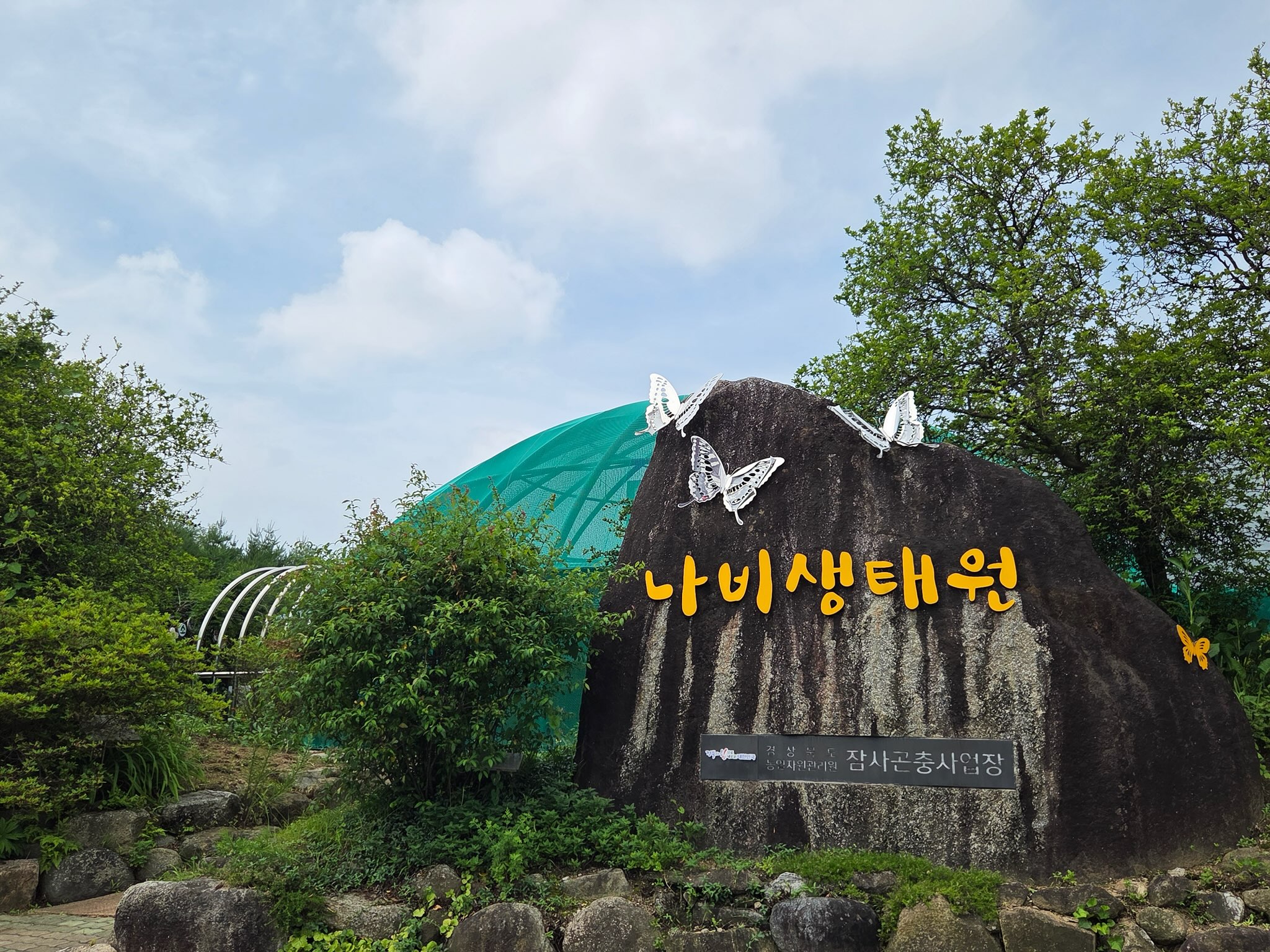 기사 본문 사진