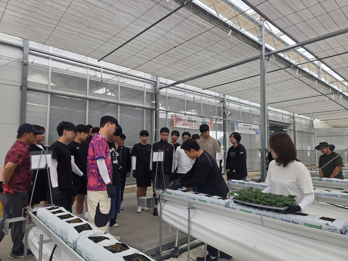 기사 본문 사진