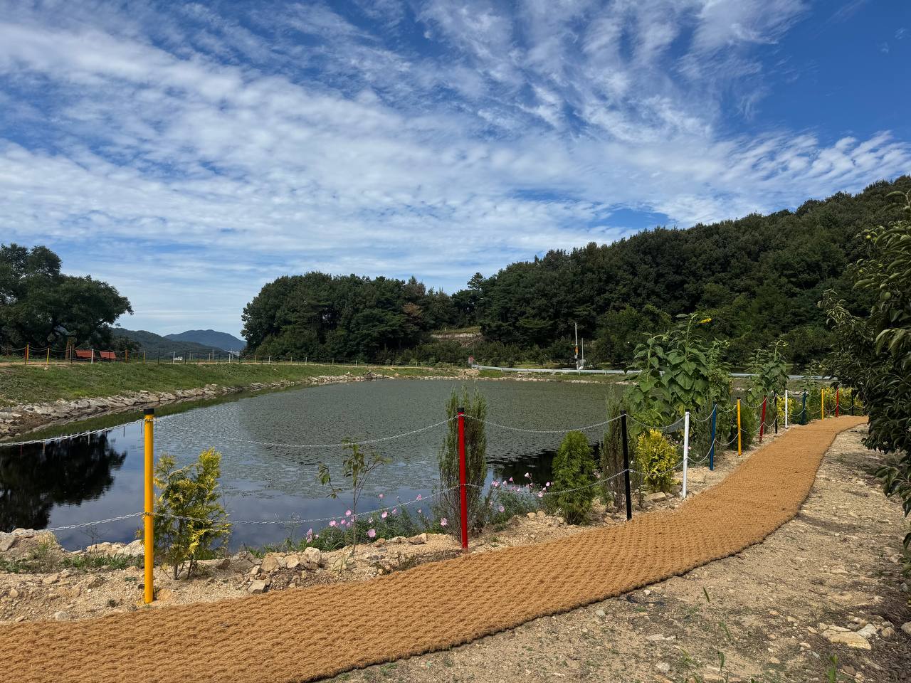 기사 본문 사진