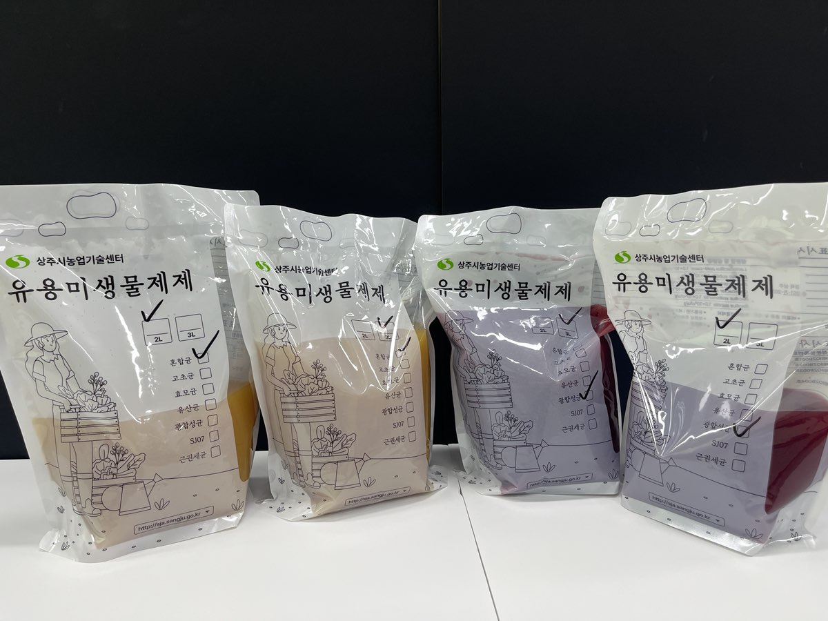 기사 본문 사진